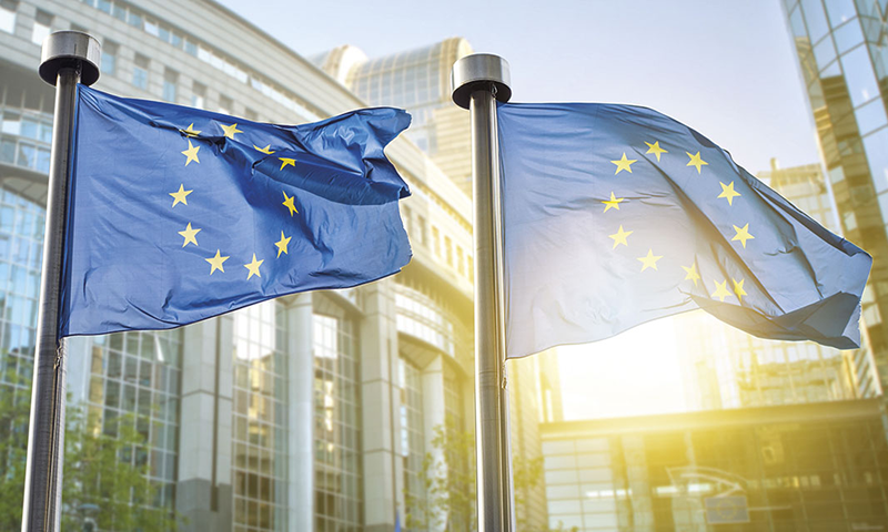 Die Wahlen in der EU
